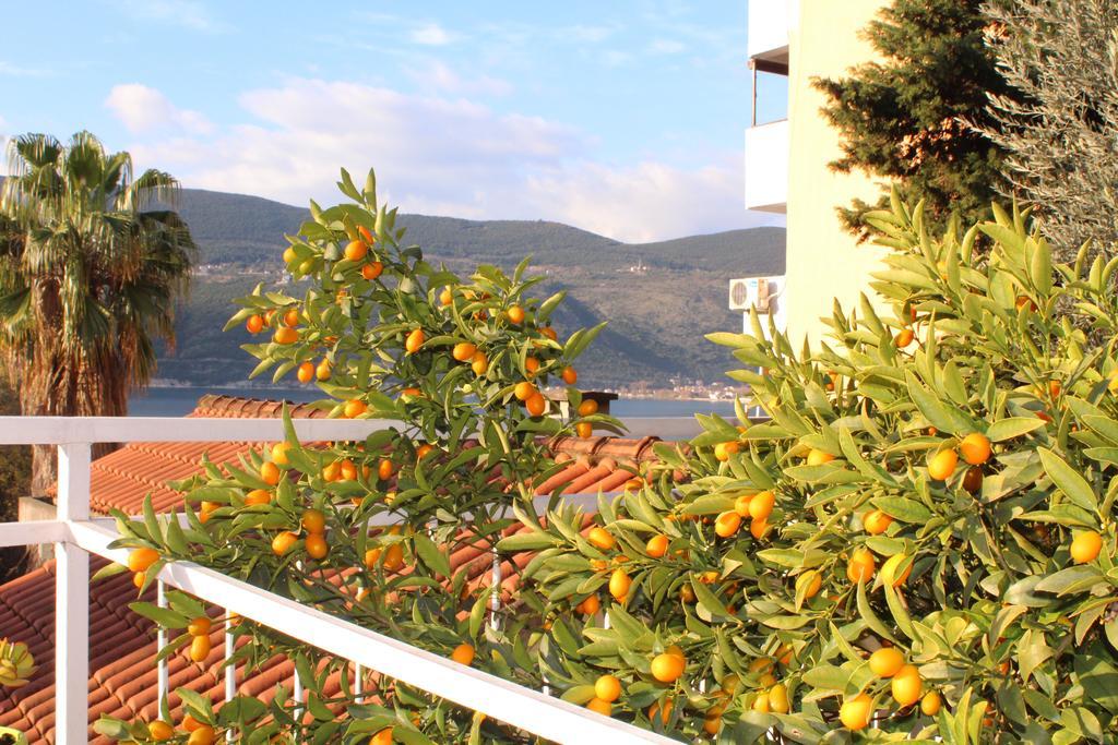 Guest House Tomanovic Herceg Novi Eksteriør billede
